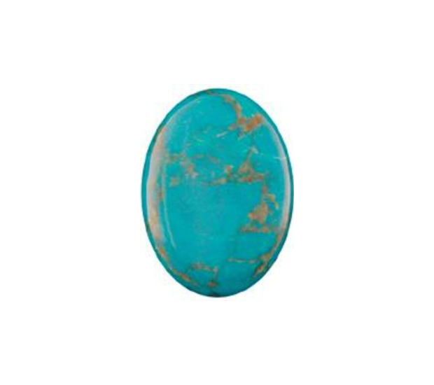 Howlite  Turquoise - 8x10 Oval