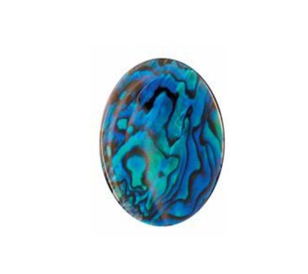 Paua Shell Blue - 12x16 Oval