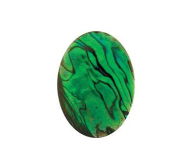 Paua Shell  Green - 22x30 Oval