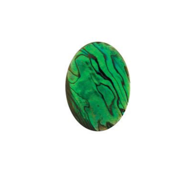 Paua Shell Green - 10mm Round