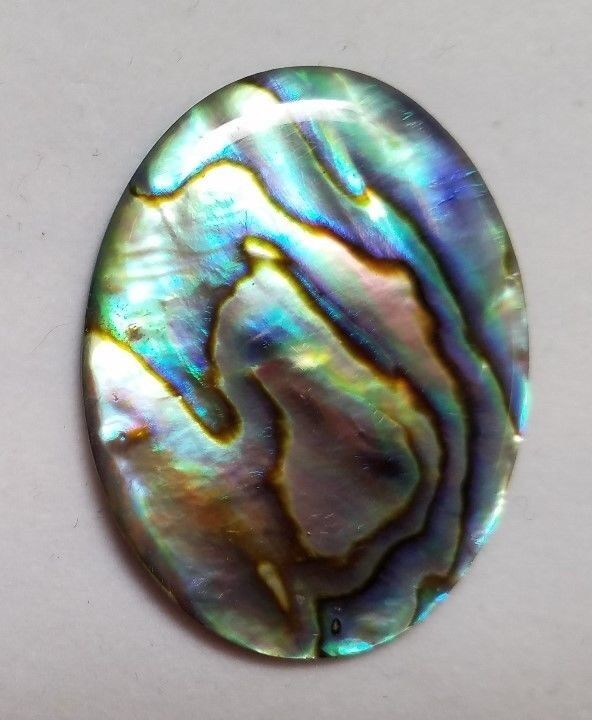 Natural Paua Shell Abalone Oval Cabochon- 18x25