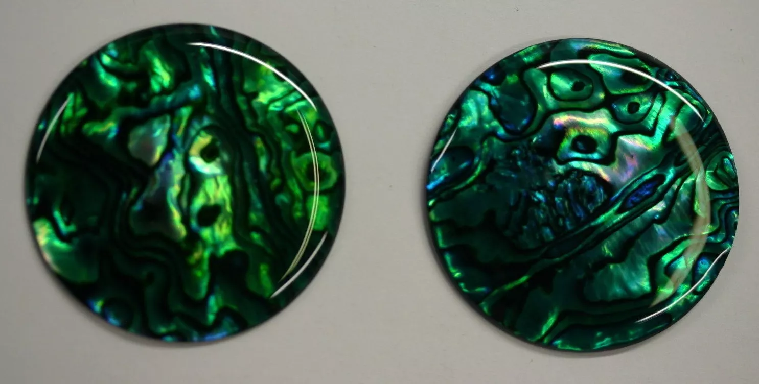 4pcs Green Paua Shell Round Cabochon 8mm
