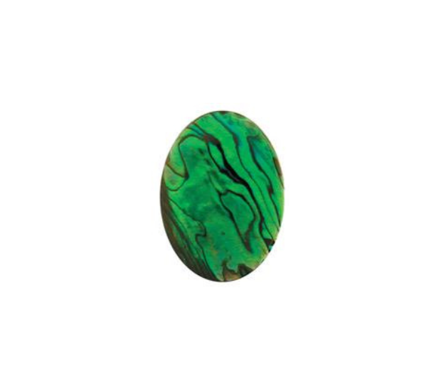 Paua Shell  Green - 4x6 Oval