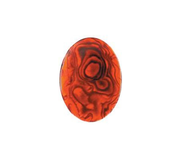Paua Shell Red - 8mm Round