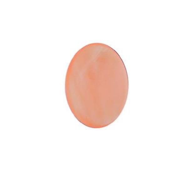 Pink Mussel  Shell - 8x10 Oval