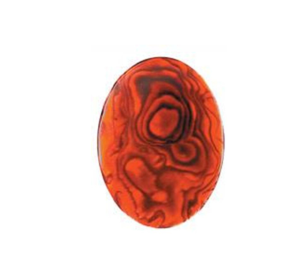 Paua Shell Red - 14mm Round