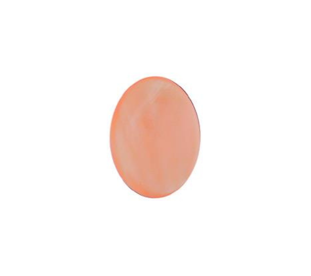 Pink Mussel  Shell - 5x10 Long Oval