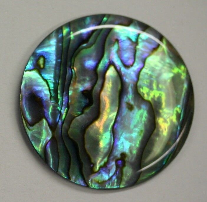 Natural Abalone Paua Round Cabochon - 4mm