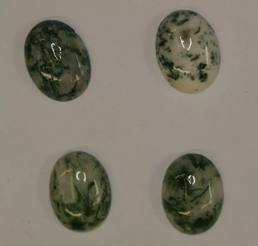 2pcs 12x16mm Natural Tree Agate Calibrated Oval Cabochon Gemstones Cab Jewelry